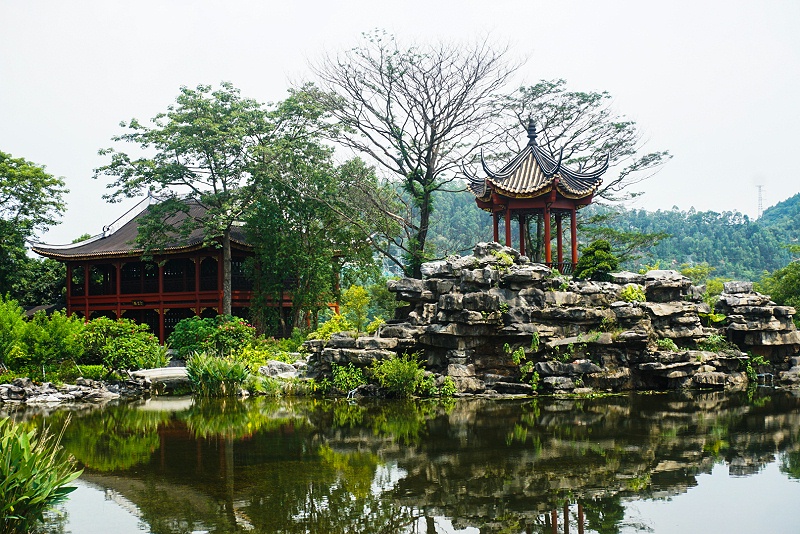 嘉友顺德美食之旅，用优质食品传递幸福，建设具匠心且快乐的团队 (2)