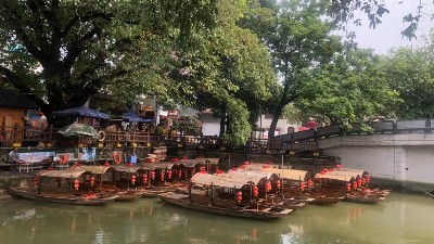 嘉友顺德美食之旅，用优质食品传递幸福，建设具匠心且快乐的团队