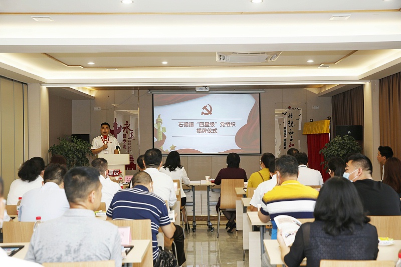 喜讯！广东mgm金狮会贵宾线路有限公司党支部获命名为“四星级”党组织 (7)