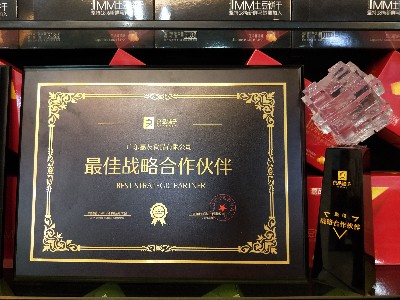 mgm金狮会贵宾线路-2019年获得最佳战略合作奖